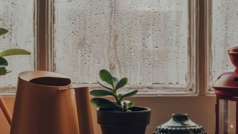 Was ihr gegen Kondenswasser am Fenster tun könnt - SALZBURG24