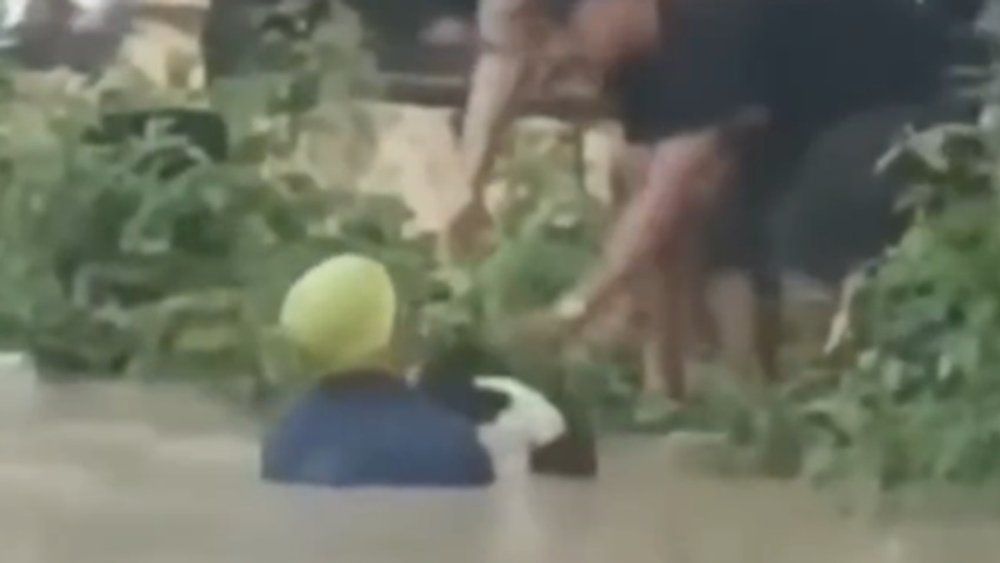 Video: Mann rettet Hund aus reißenden Fluss in Indien