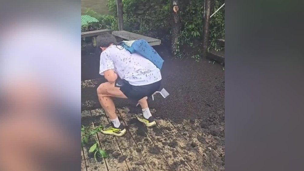 Video: Überall Insekten: "Lovebugs" überfallen Südkorea