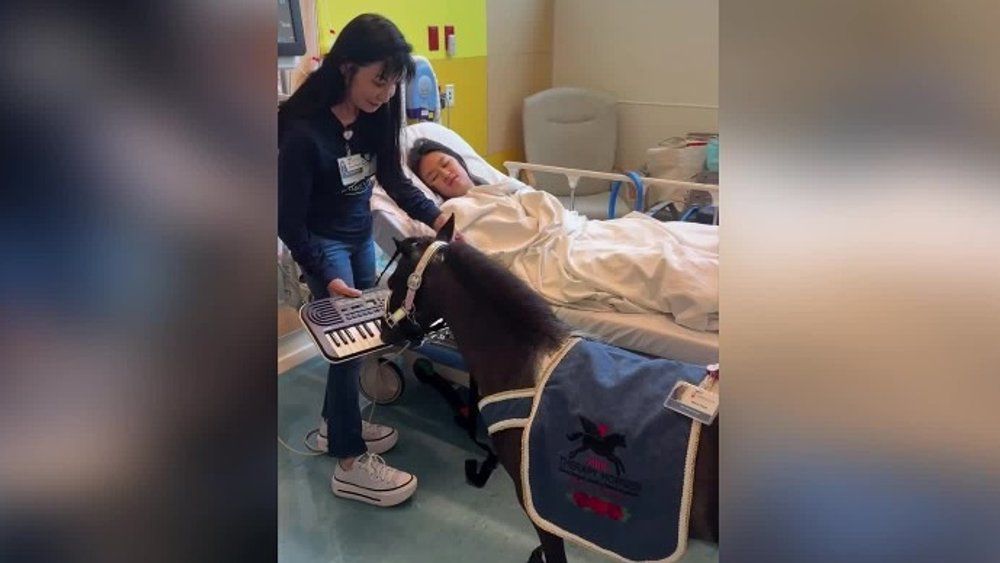 Video: Pferd weckt Patientin mit Musik auf: Internet feiert das Tier