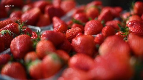 Pestizid-Rückstände in Erdbeeren: Bundesinstitut gibt Entwarnung