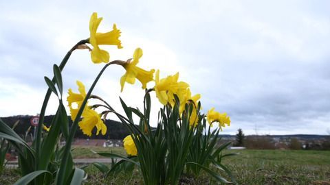 März geht mit typischem Aprilwetter zu Ende