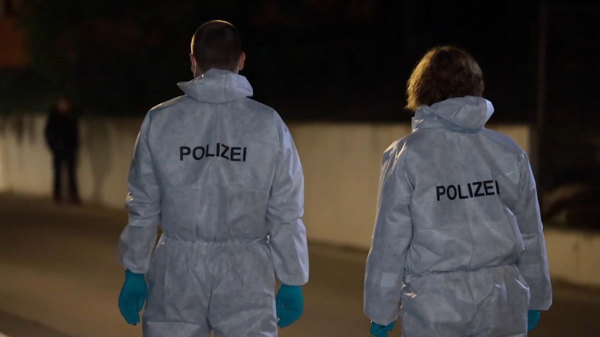 Polizei erschießt Axt-Mann bei Konstanz – Mädchen (im Auto) angegriffen – Ermittlungen laufen!