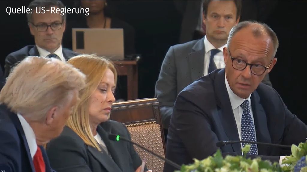 Merz fordert Waffenruhe und sieht Chancen für Frieden in Ukraine: «Weg ist frei»