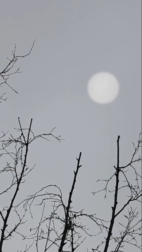 Meteorologischer Winteranfang: Wetter bleibt vorerst grau und mild