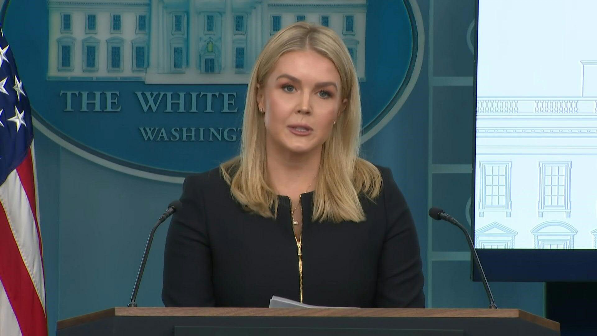 Democrats are 'party of insanity and hate': White House