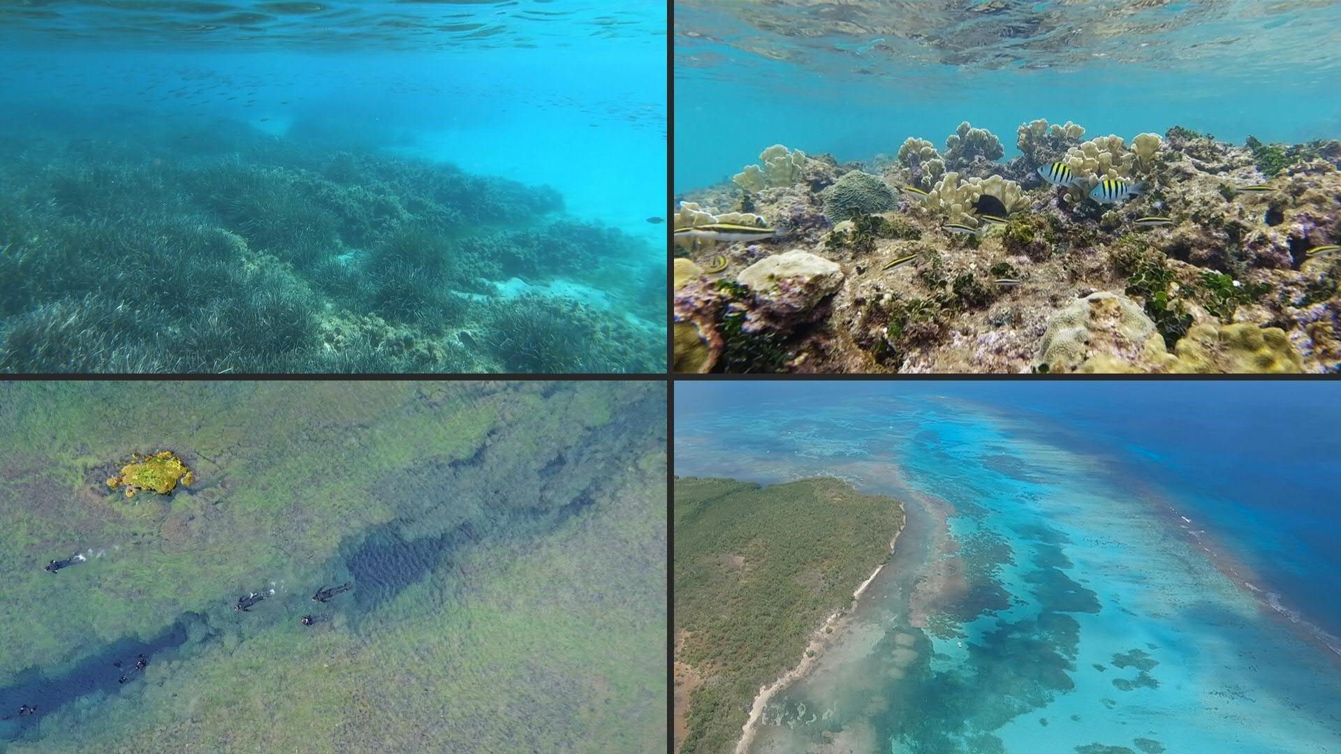 Erderwärmung, Übersäuerung, Müll: Stress für die Weltmeere