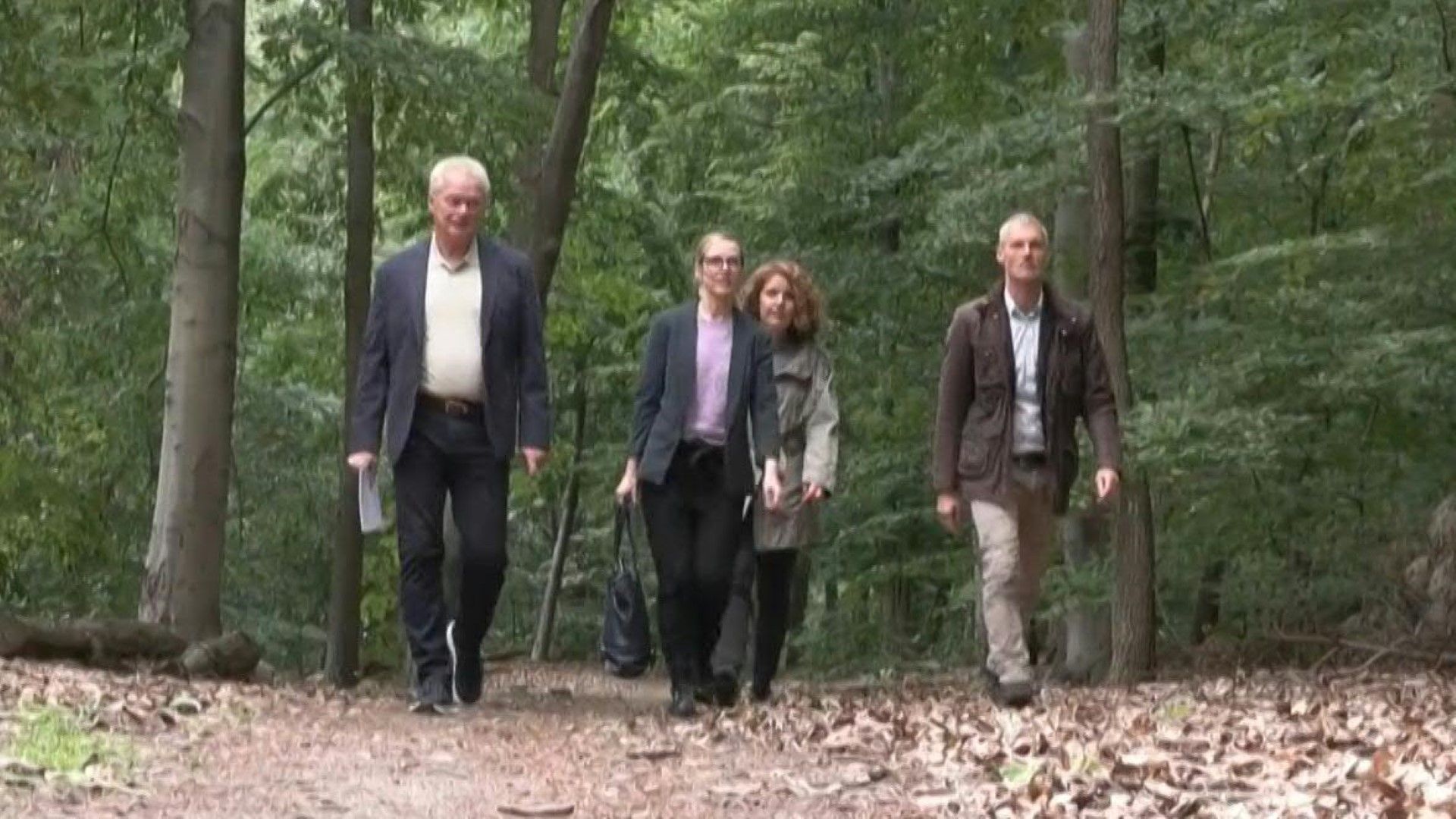 Nur jeder fünfte Baum in Deutschland ist gesund