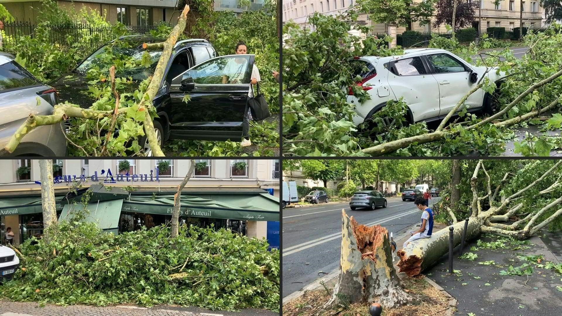 Cars crushed by fallen branches as Paris storm wreaks havoc