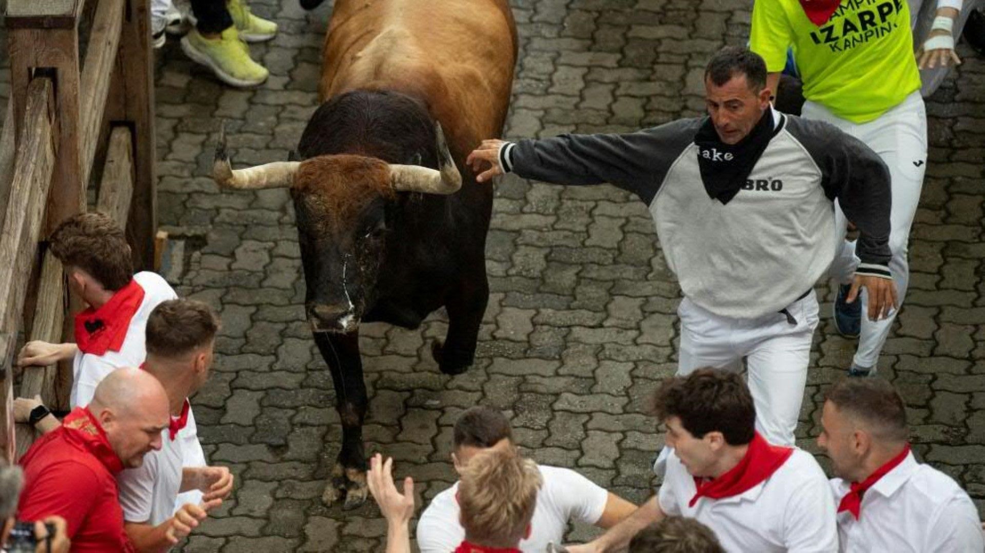 San-Fermín-Fest: Stierhatz in Pamplona hat begonnen
