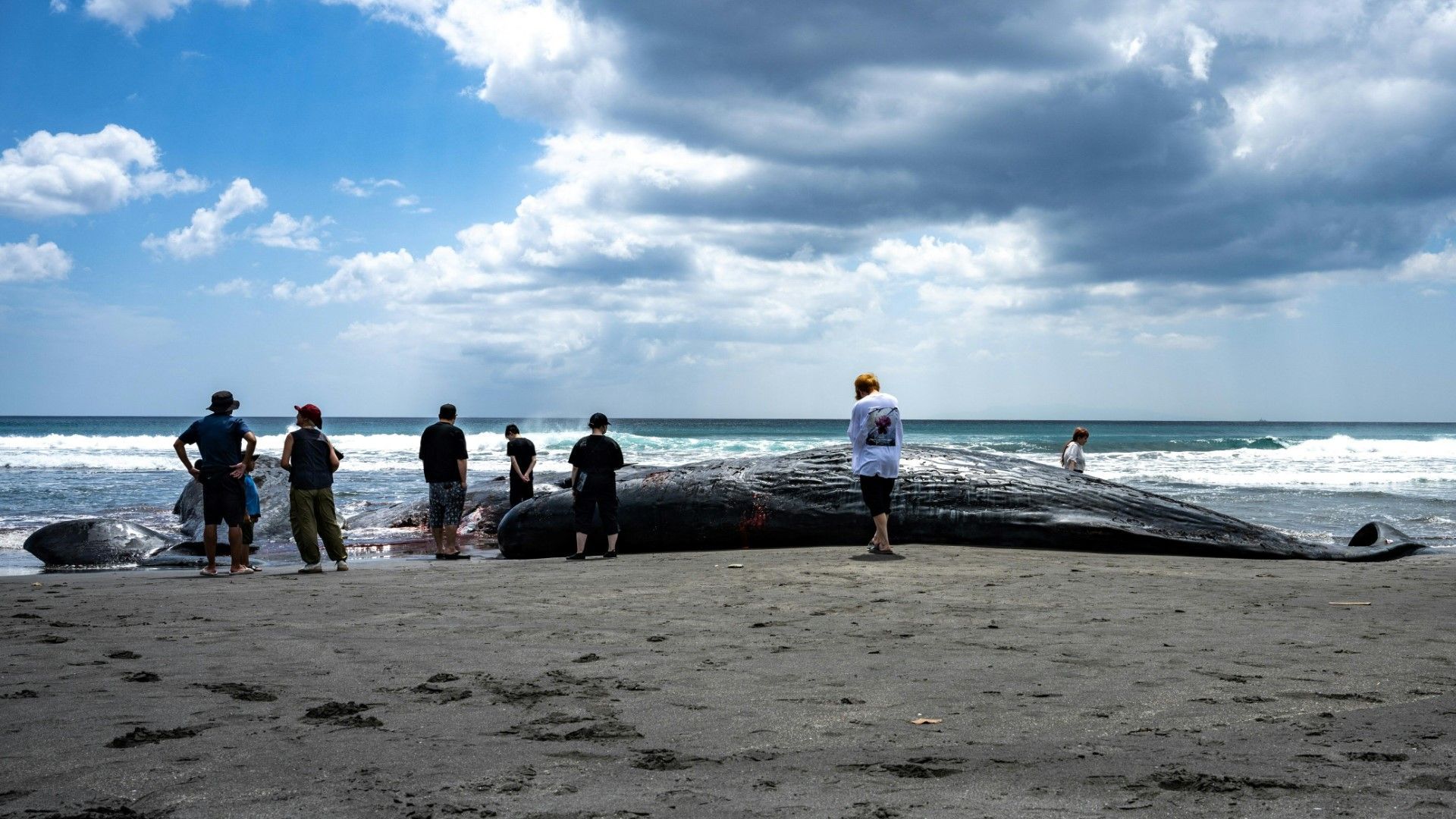 Wale an Strand in Japan verendet