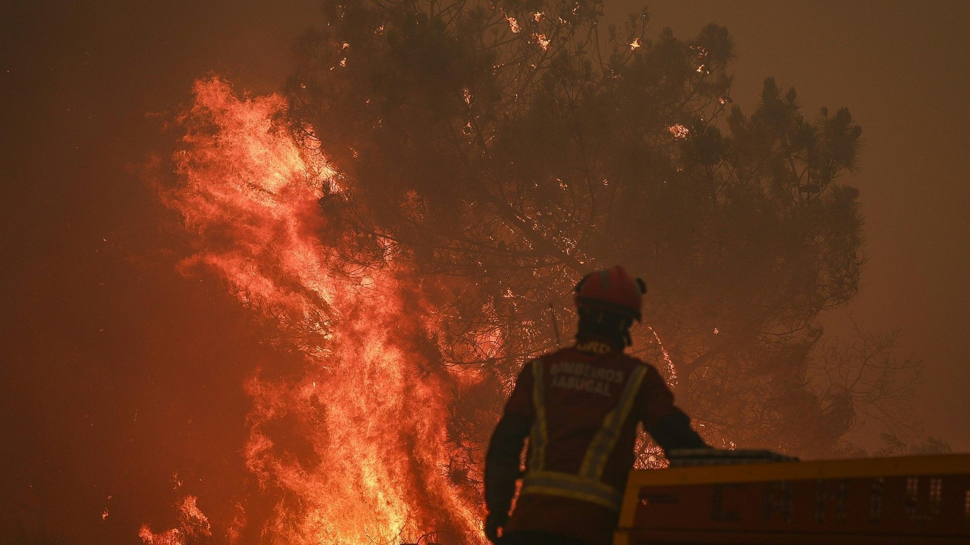 Portugal: Waldbrände wüten weiter
