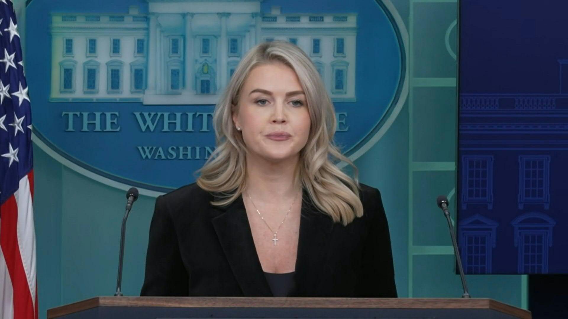 US peace plan 'good' for both Russia and Ukraine: White House