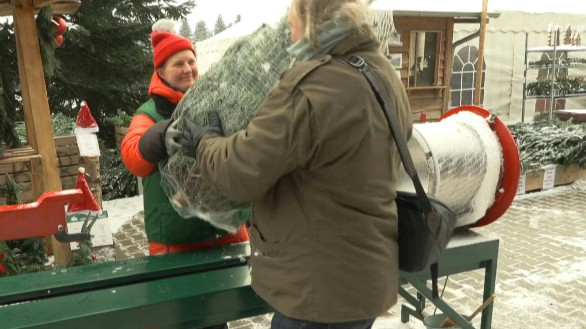 Christmas Tree: Tips for Buying and Care