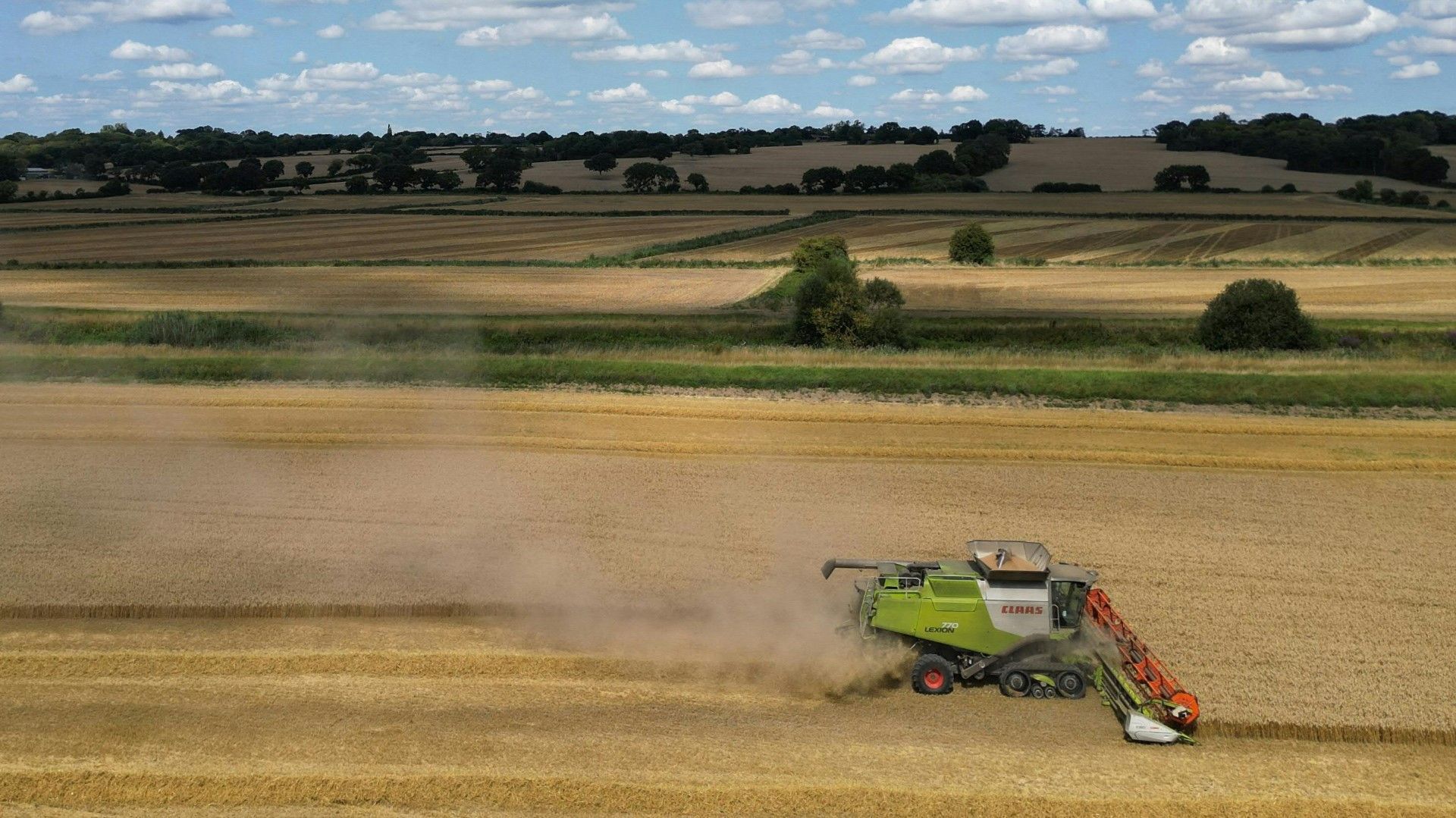 EU will Gentechnik-Regeln lockern