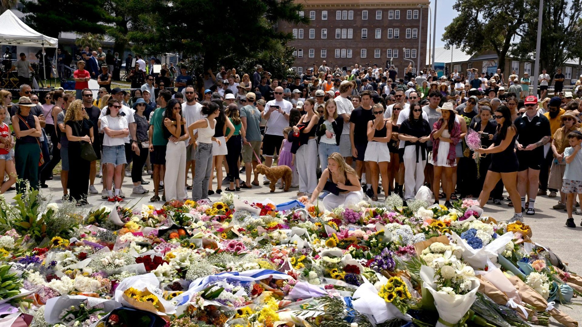 Bondi Beach: Zahl der Todesopfer steigt auf 15