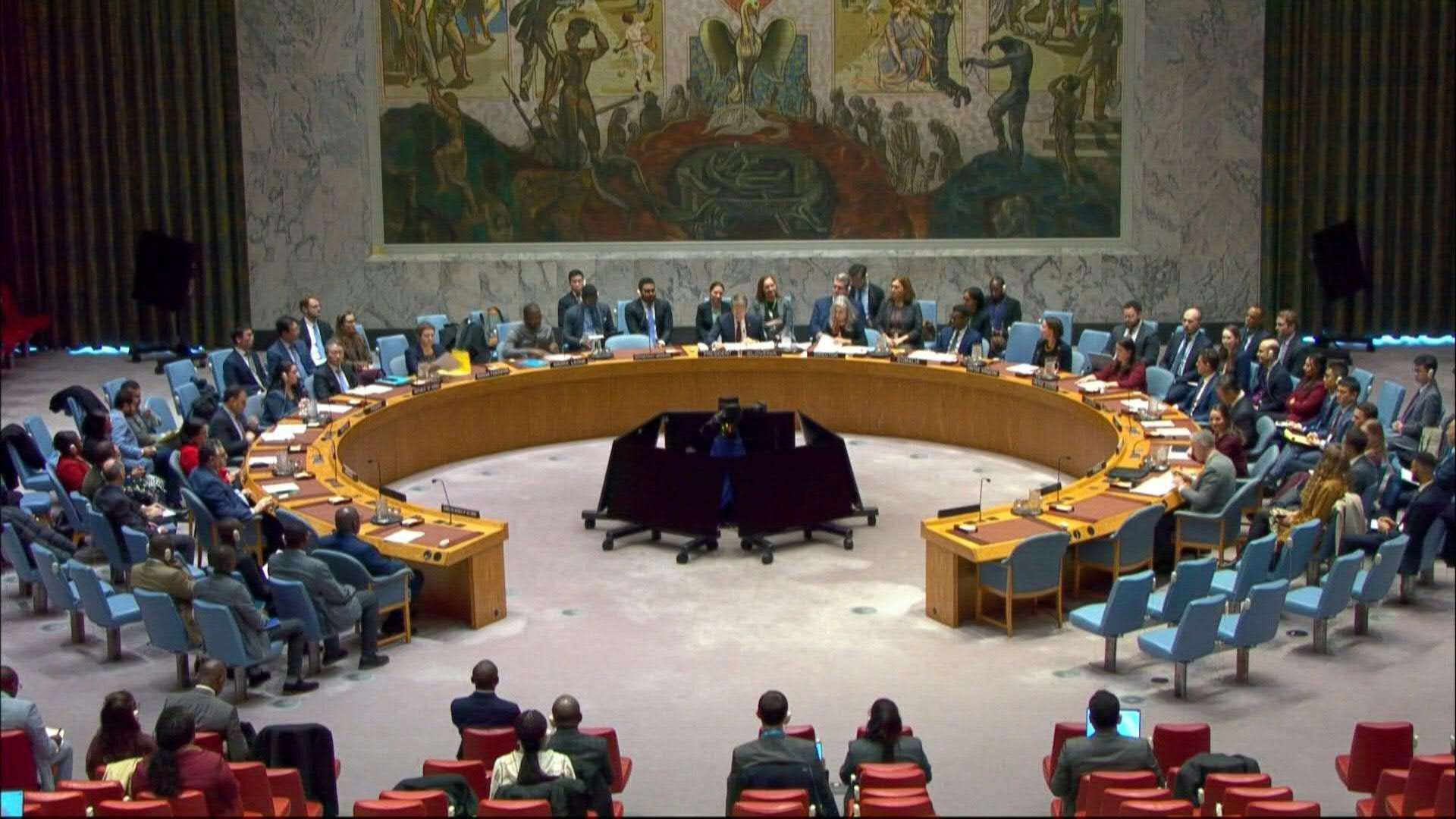 UN-Security-Council-votes-to-extend-DR-Congo-mission-by-one-year