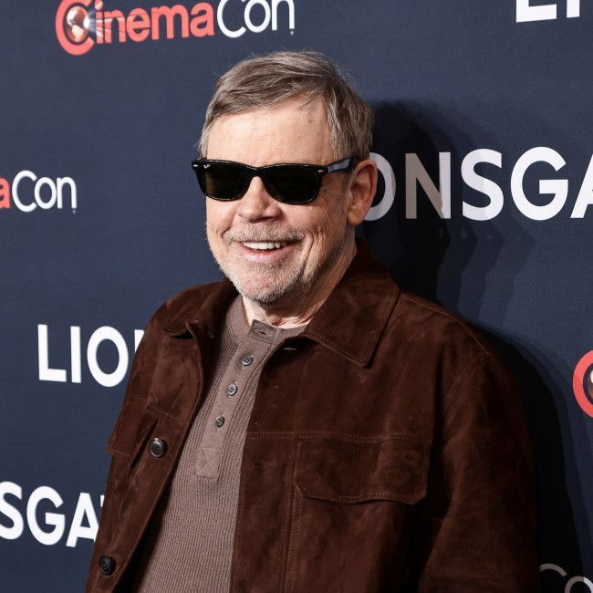 Actors face a lifetime of rejection, says Mark Hamill