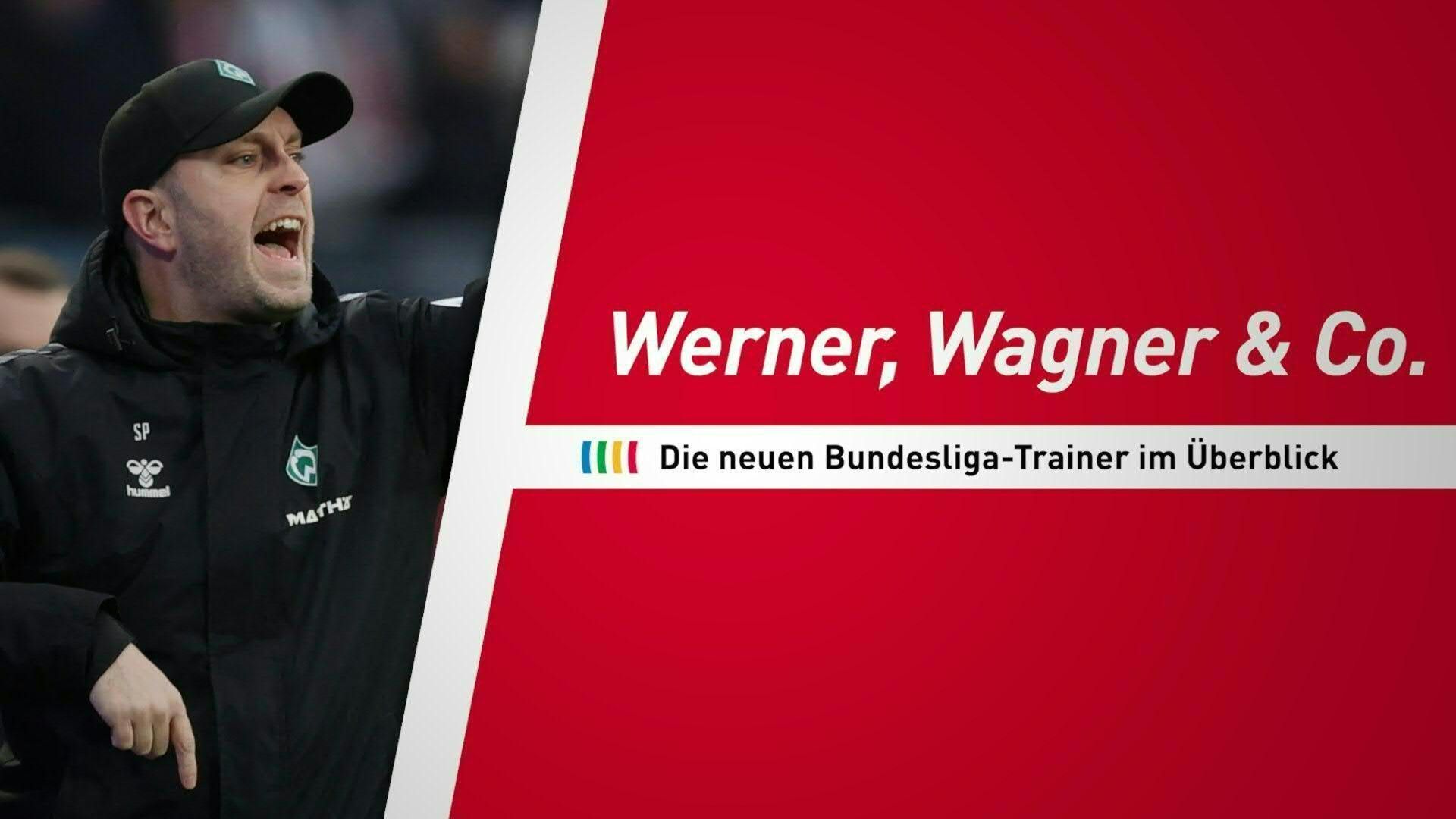 Werner als Nummer sechs: Alle BL-Trainerposten besetzt