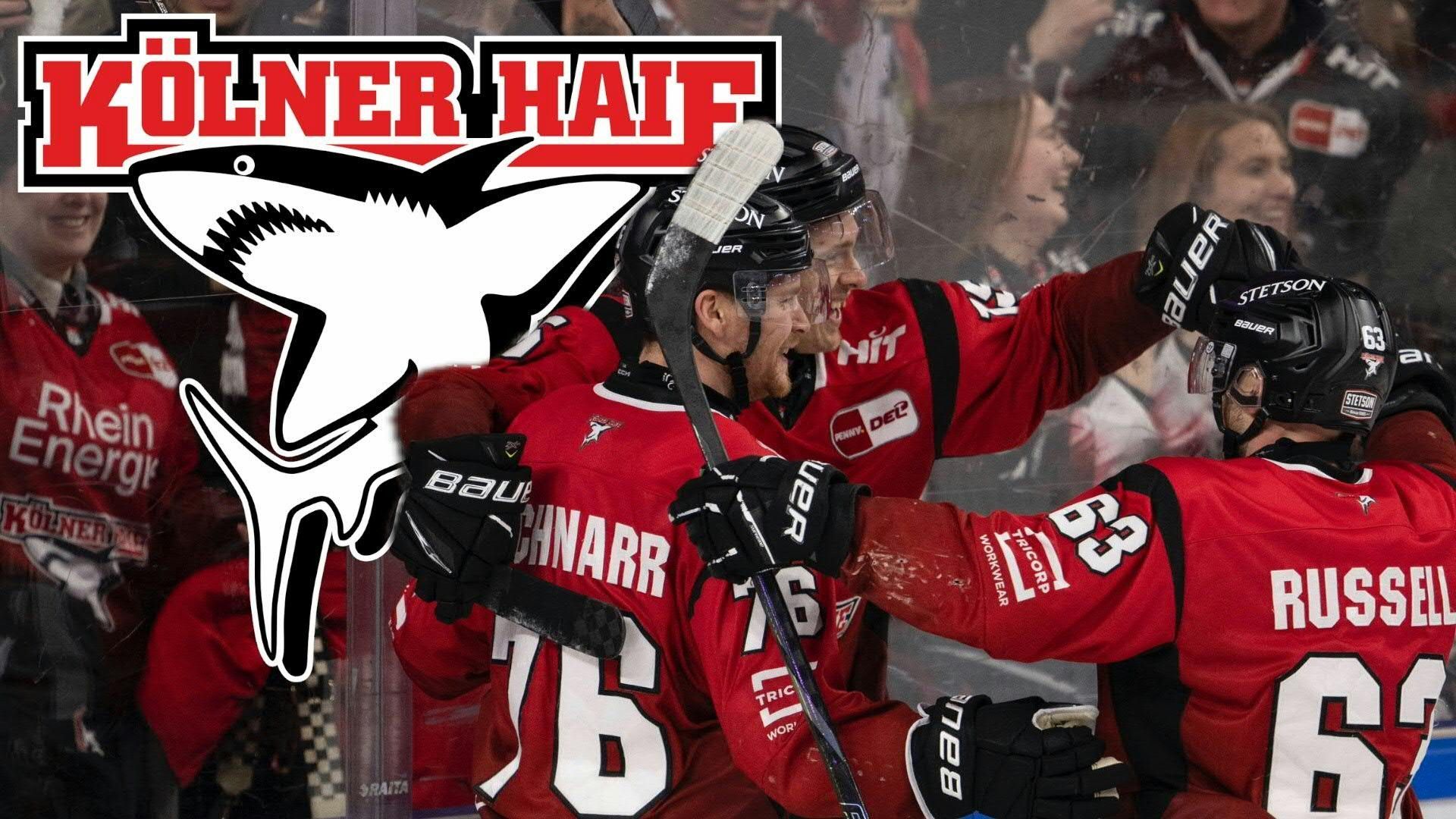 Video: 14. Sieg in Serie: Haie verbessern Vereinsrekord