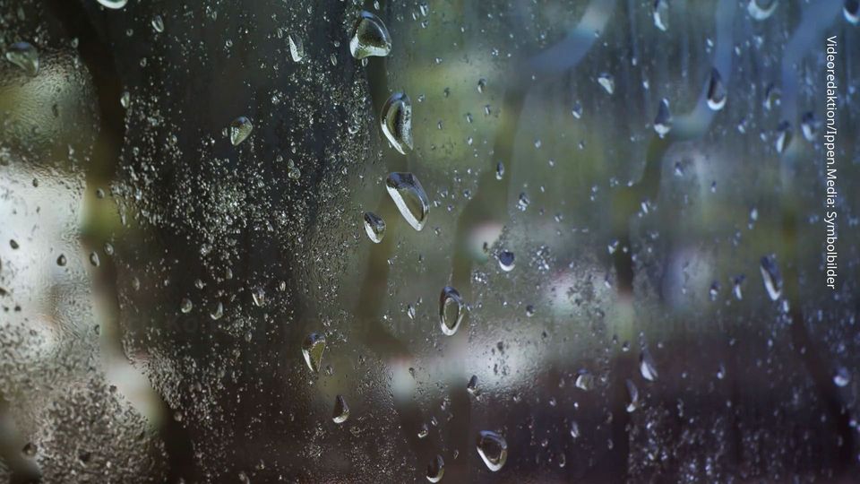 Fenster: Kondenswasser schnell entfernen, sonst droht Schimmel