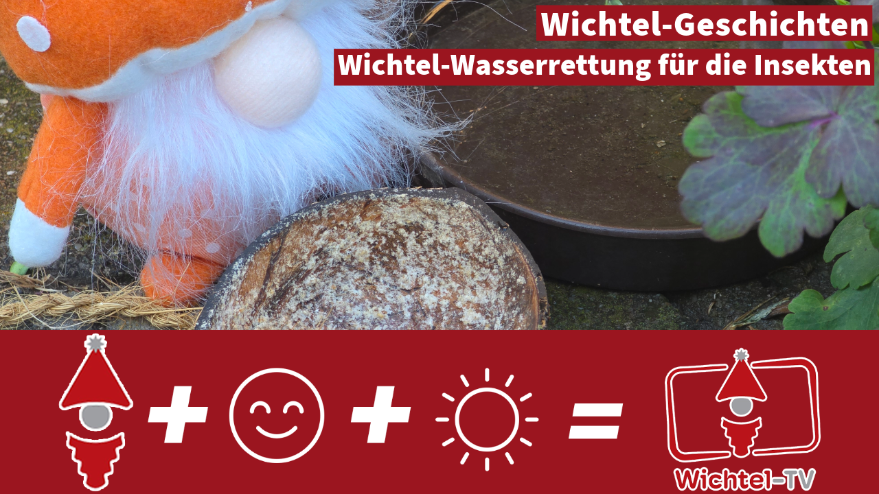 Wichtel-Geschichten: Die Wichtel-Wasserrettung für die Insekten