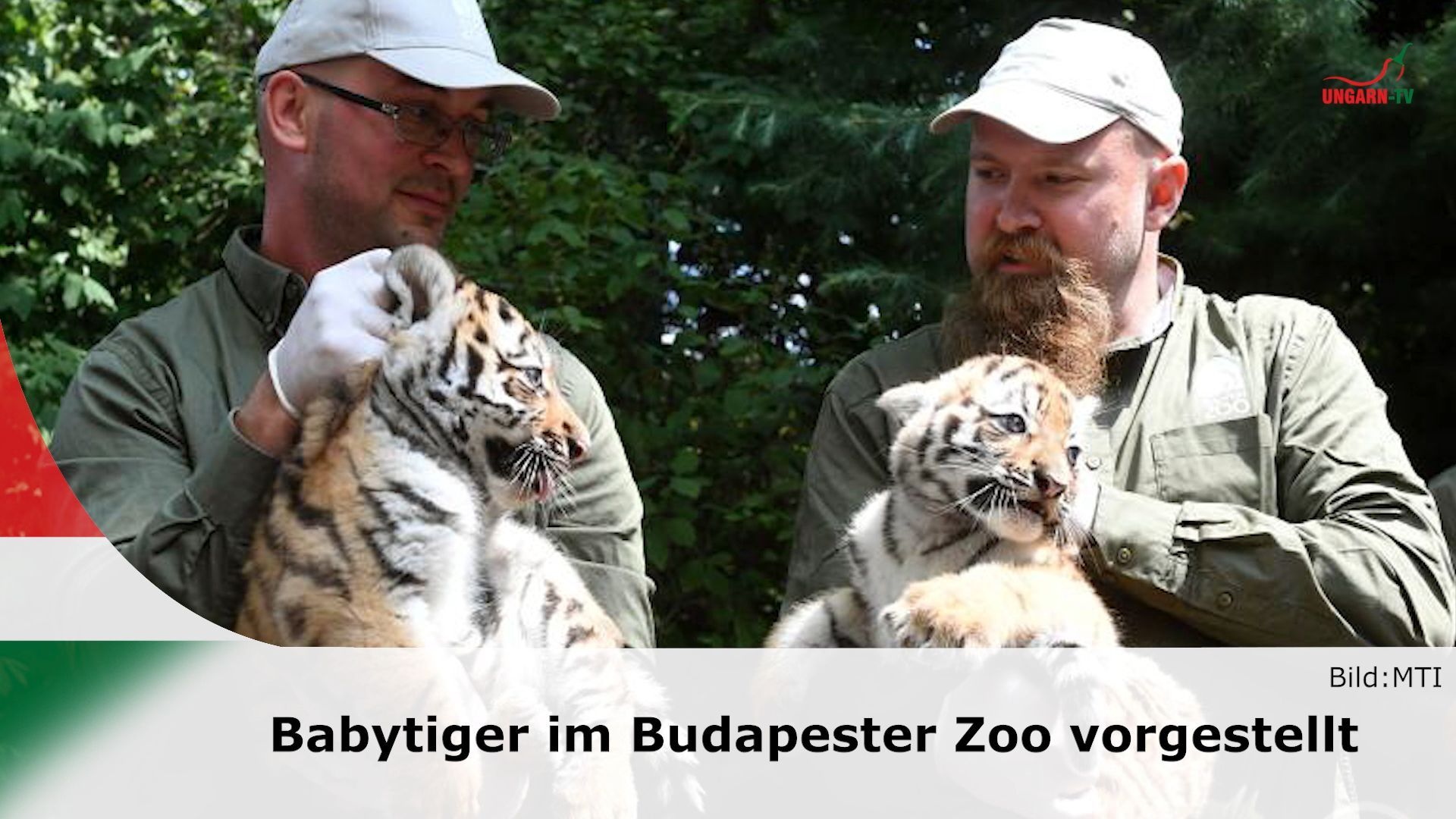 News from Hungary on 13.06.2025