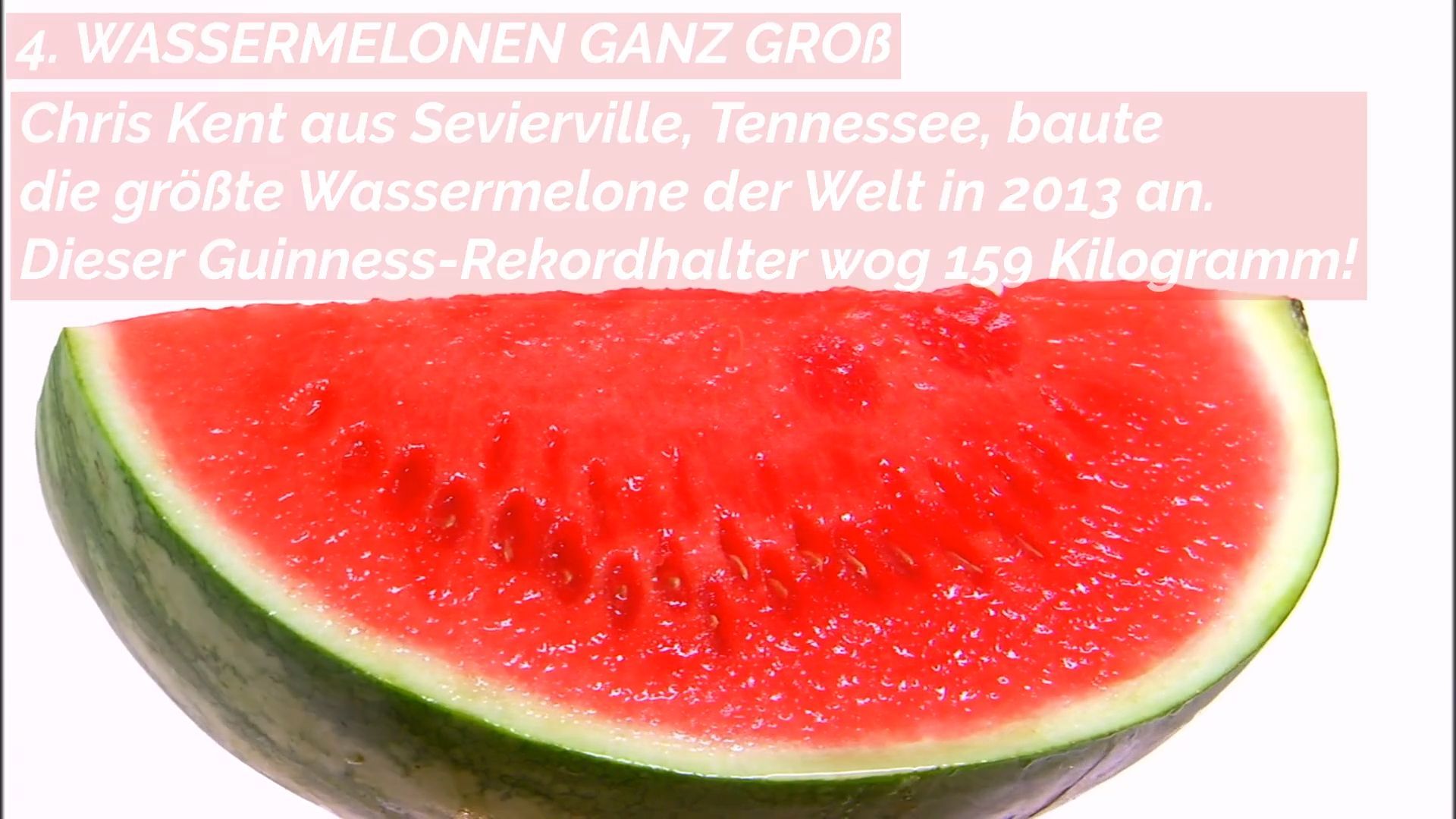 Five Watermelon Facts - The Fruit for Hot Days