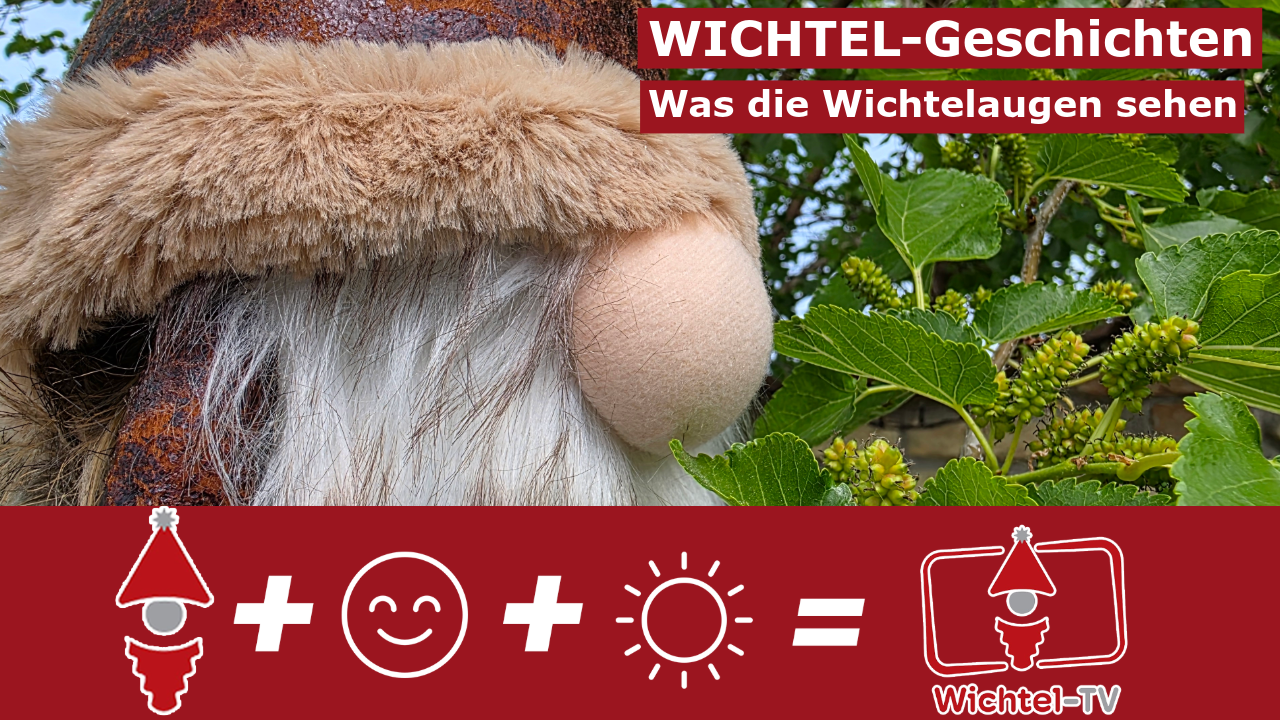 Wichtel Stories: What the Wichtel Eyes See