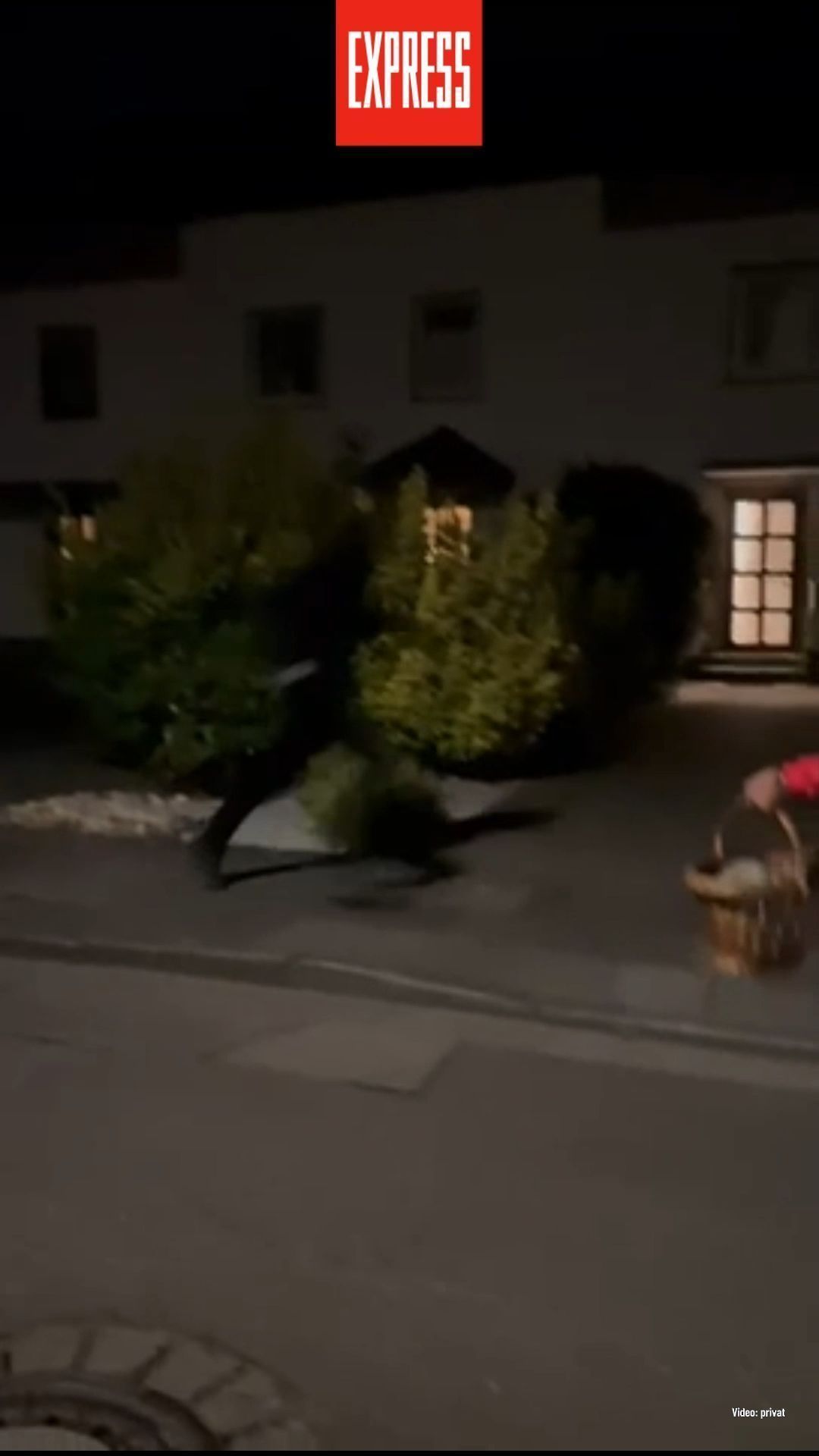 Wieder ein Messer-Angriff in Köln – Video vom Tatort