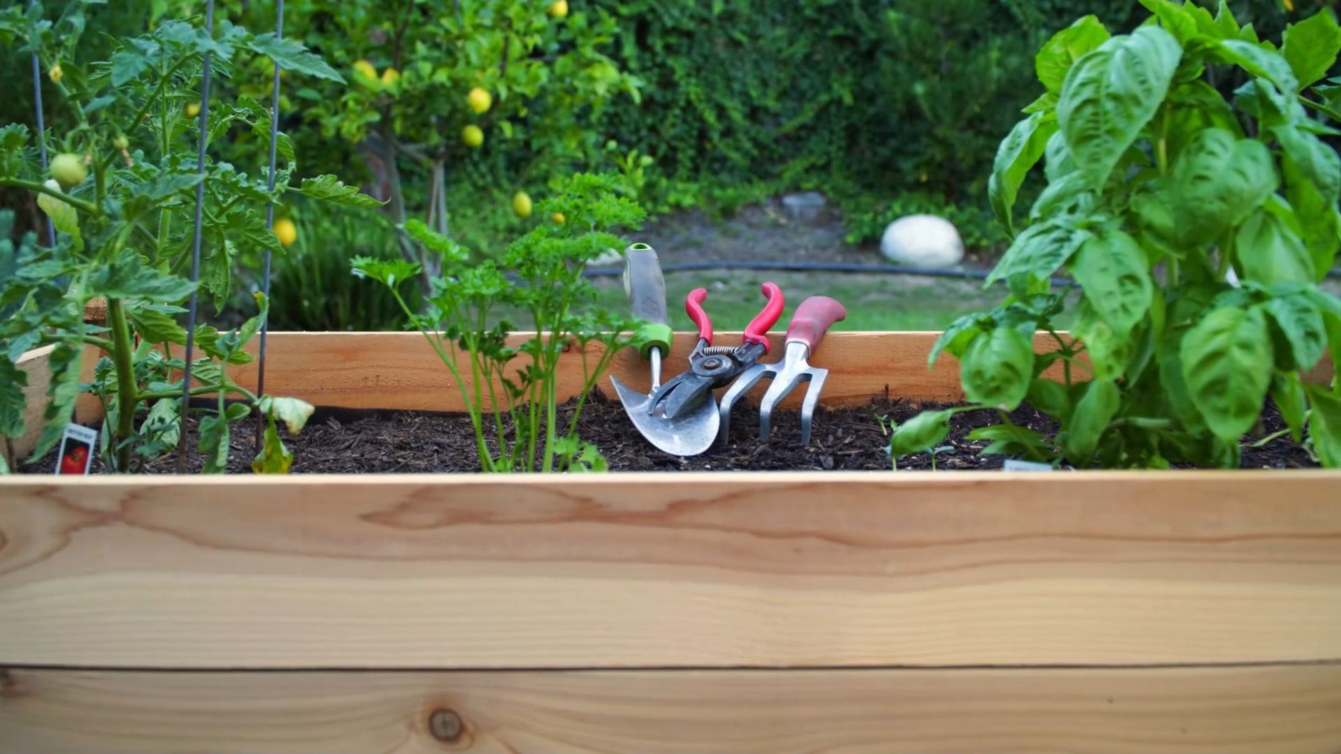 Hochbeet in der Stadt: So wird dein Balkon zum Garten