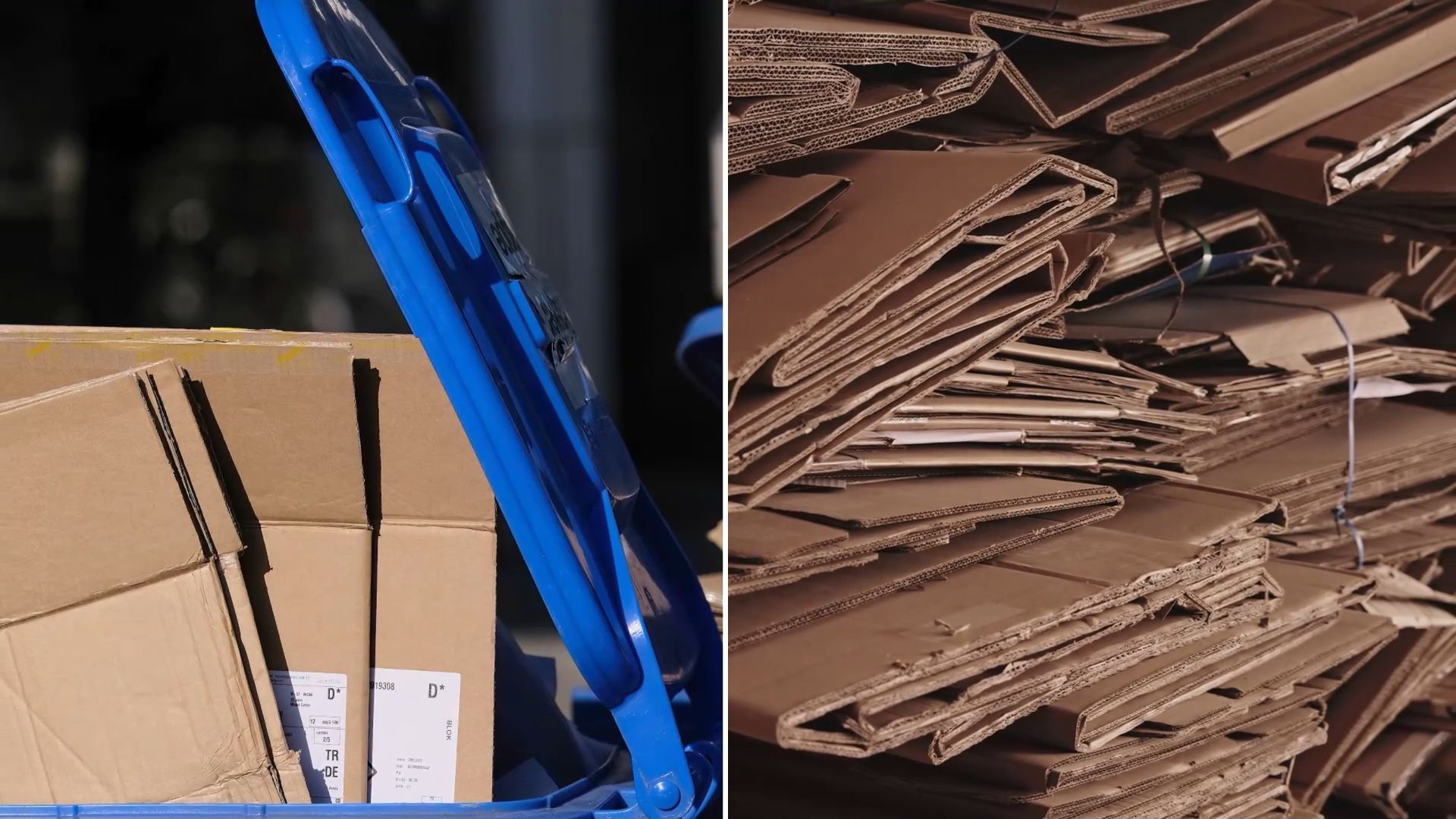 Altpapier pressen verboten: Why the bin remains untouched