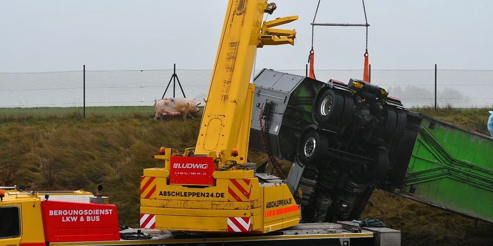 Video: Umgekippter Tiertransporter blockt Verkehr auf der A49 - Schweine irren umher