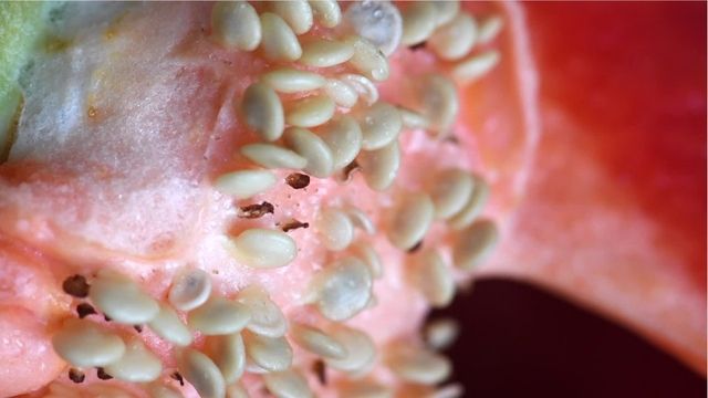 Video: Warum du Paprikakerne nicht wegwerfen solltest