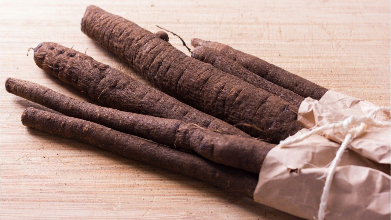 Der Spargel des Winters: Die Schwarzwurzel wird oft unterschätzt