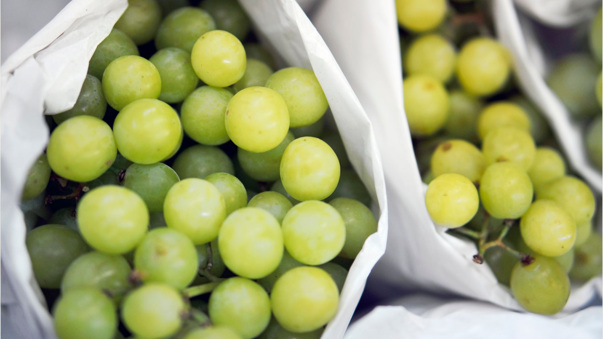 „Vom Verzehr wird dringend abgeraten“: Trauben mit Pestiziden belastet - Rückrufaktion in Bayern