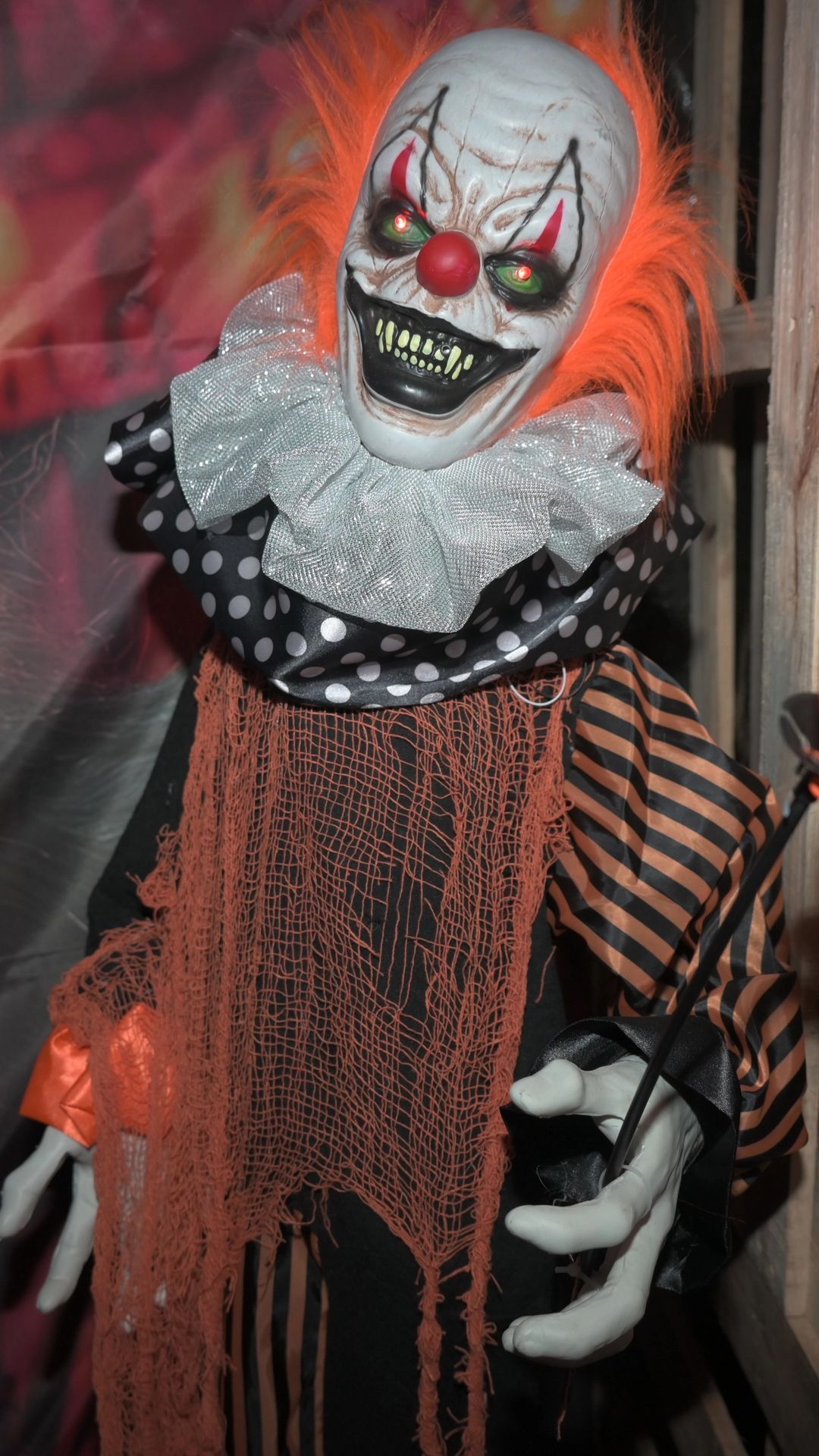 Video: Halloweenhaus im Nürnberger Süden