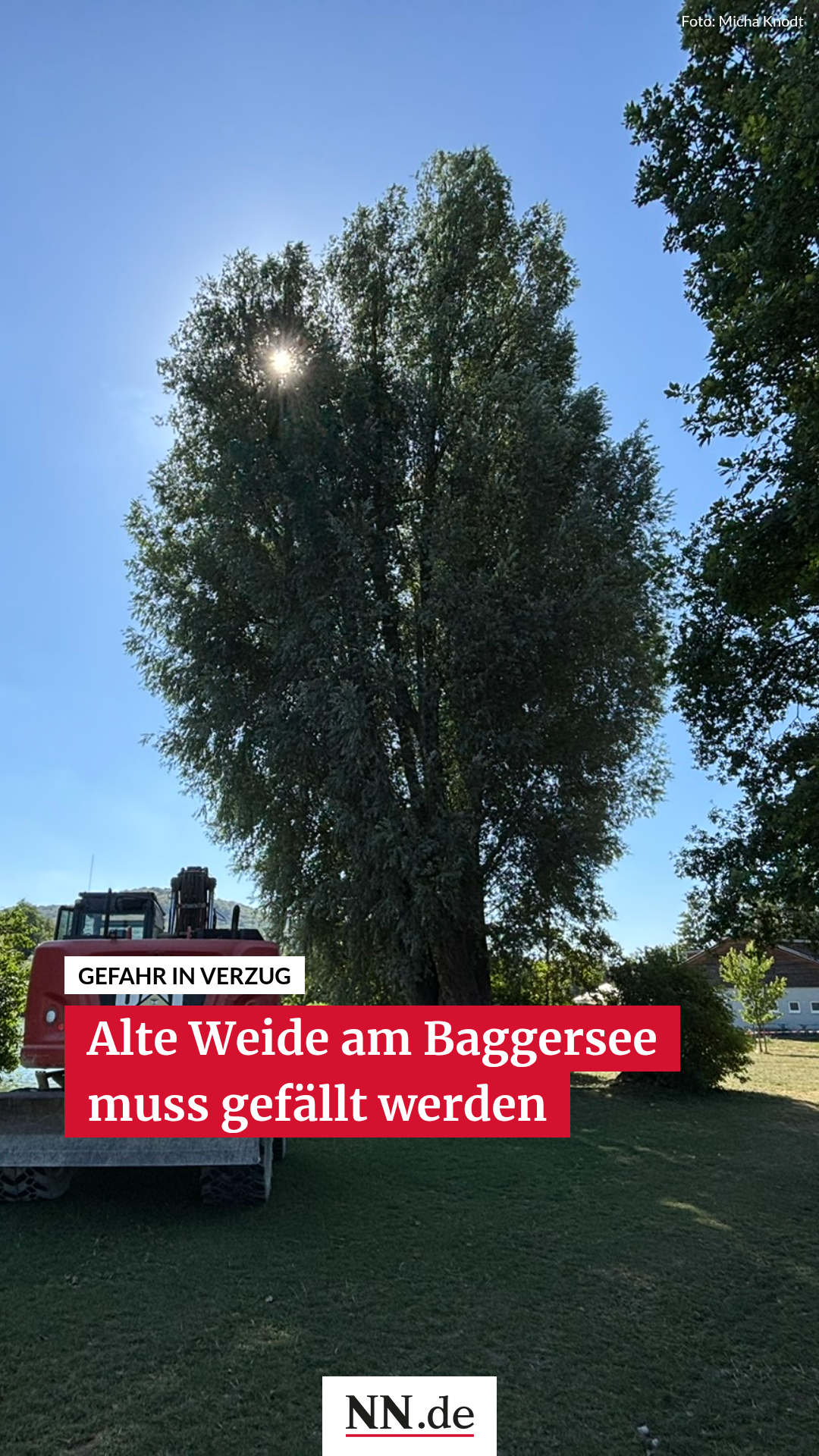 Video: Baum am Baggersee Happurg wird gefällt