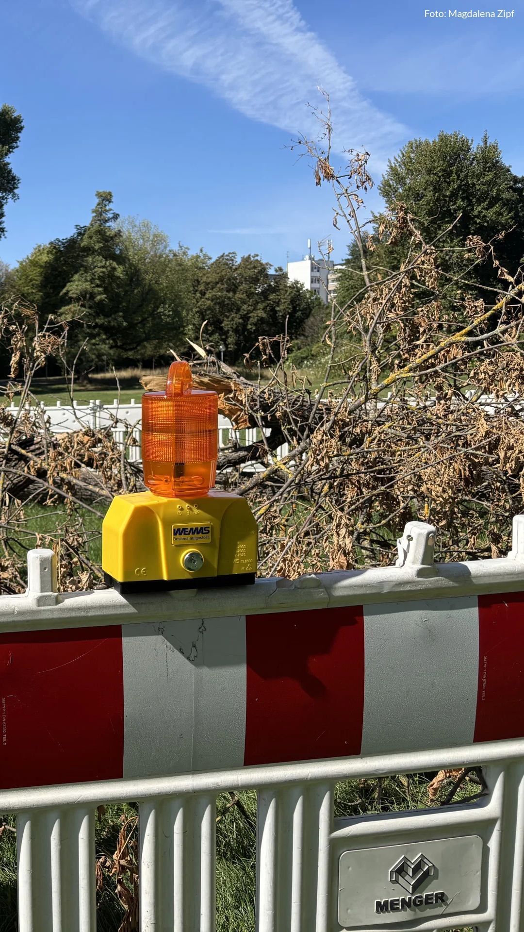 Video: Baumabsperrung auf Wöhrder Wiese