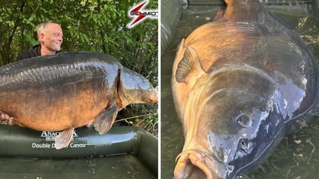 „Moment meines Lebens“: Mit „Carpzilla“ gelingt Angler unglaublicher Fang