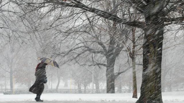 Meteorologen warnen: Anzeichen für besonders kalten Winter 2025/2026 verdichten sich
