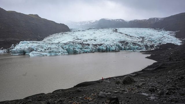 Forscher entdecken erstmals Mücken auf Island – und das ist ein Warnsignal