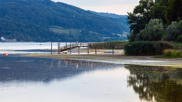 Video: Bodensee kämpft mit Wassermangel: „In spätestens zwei Wochen ist unser Hafen komplett trocken und le