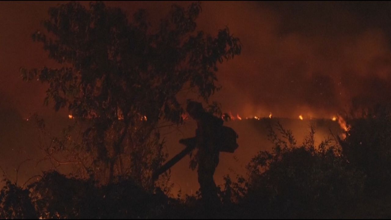 3.024 Brände im November: Brasiliens größtes Feuchtgebiet steht in Flammen