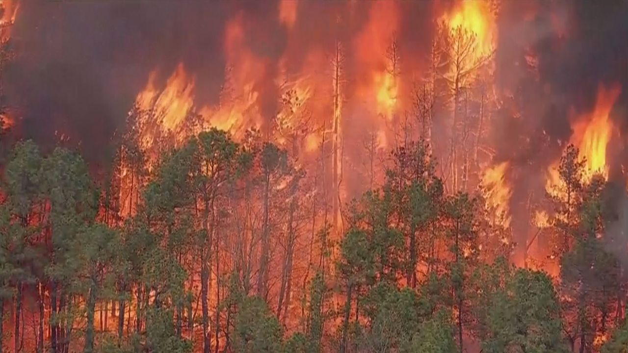 Video: Waldbrand in New Jersey: Großeinsatz und Evakuierungen