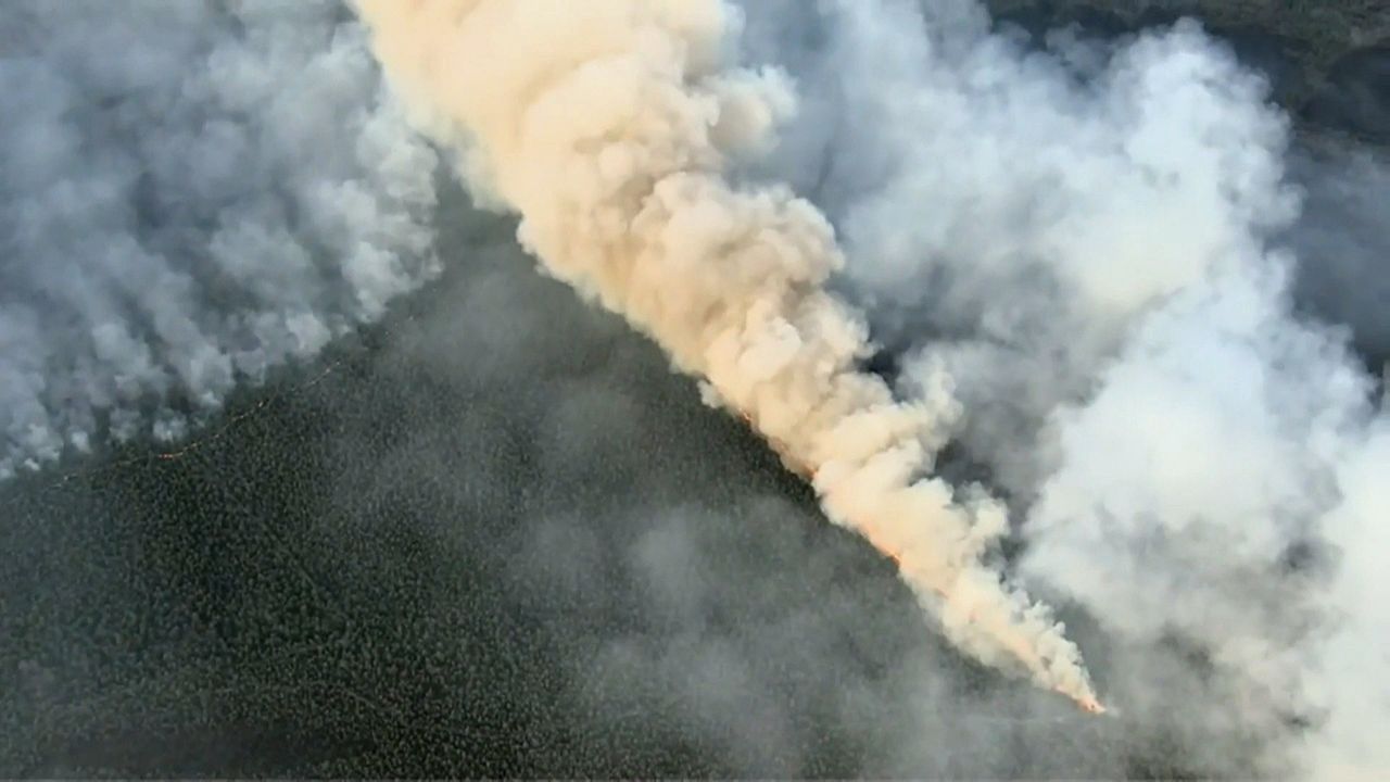 Video: Waldbrand in New Jersey vernichtet 55 Quadratkilometer – Tausende fliehen