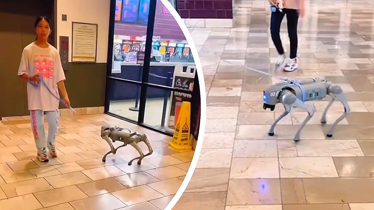 Hightech-Haustier: Junge Frau führt Roboterhund durch Einkaufszentrum in Texas