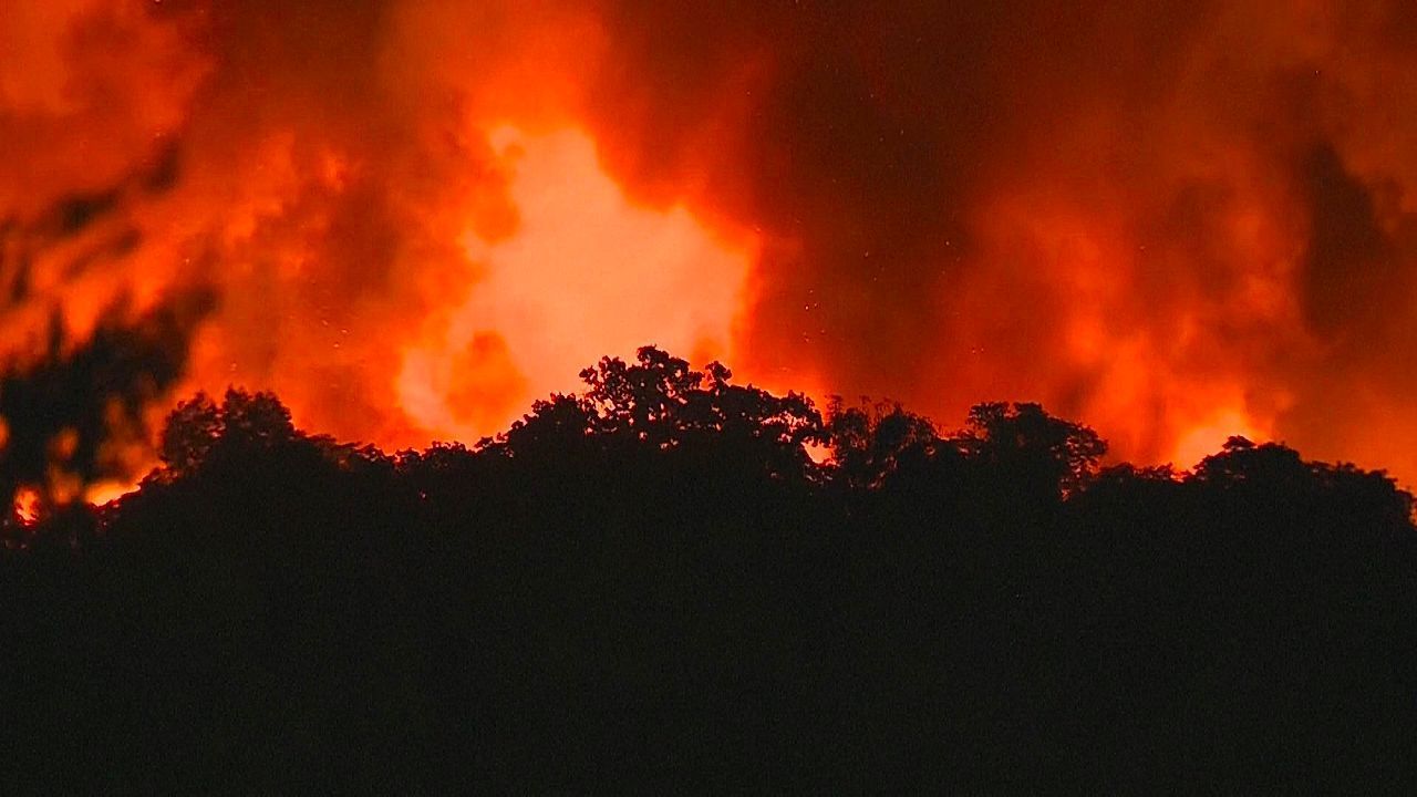 Waldbrände in Portugal außer Kontrolle: Fast 2.700 Feuerwehrkräfte im Einsatz