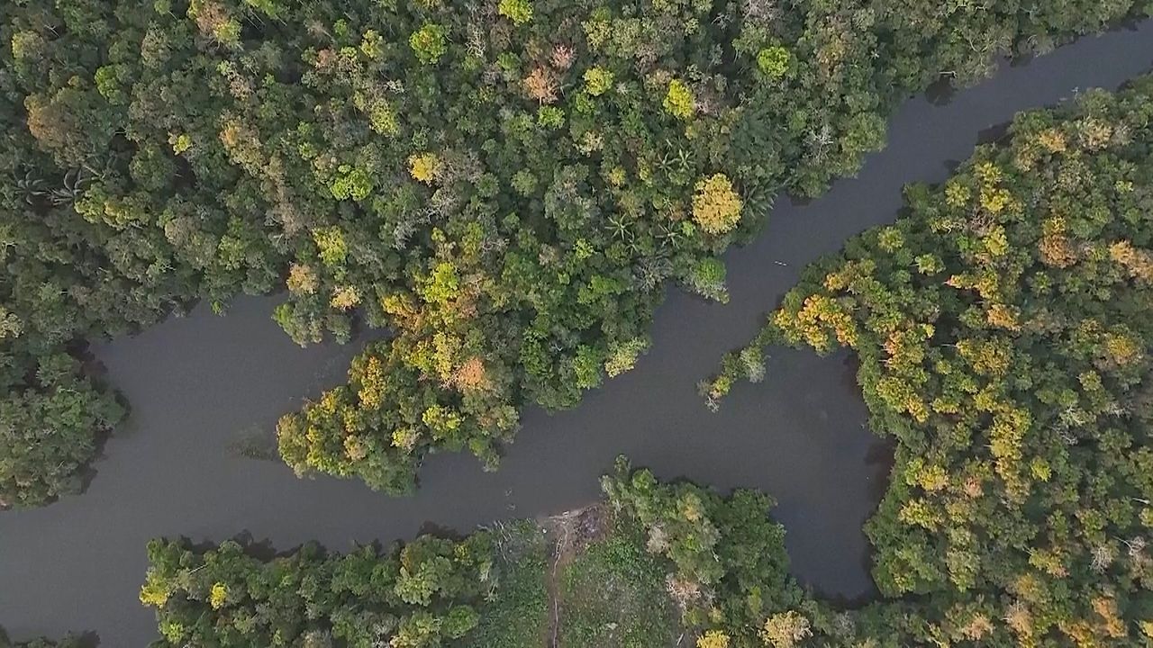 Video: „Fliegende Flüsse“ des Amazonas in Gefahr: Abholzung droht Dürren und Klimarisiken