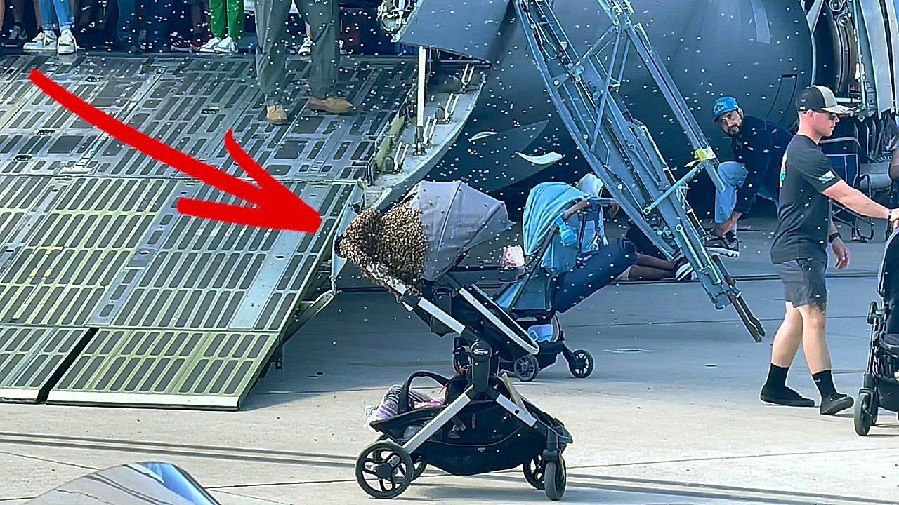 Video: Umzingelt: Bienenschwarm nimmt Kinderwagen in Beschlag